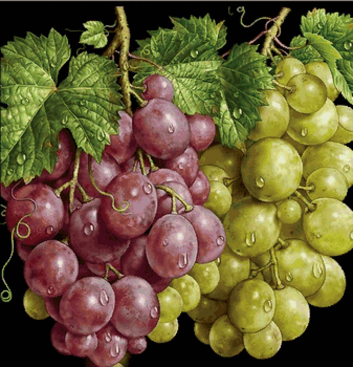 виноград - предпросмотр