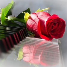 Схема вышивки «Роза на клавишах»