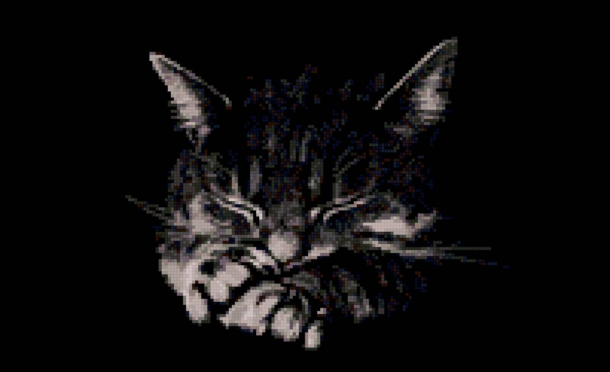 Кот - предпросмотр