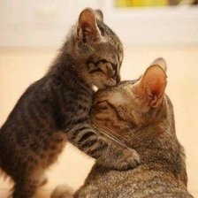 Схема вышивки «love2»