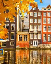 Схема вышивки «grad44»