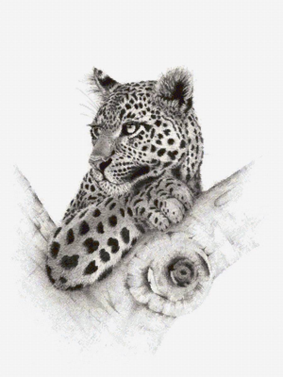 №2475366 - предпросмотр