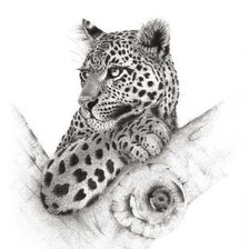 Схема вышивки «№2475366»