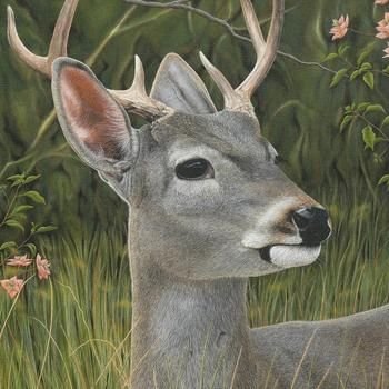 №2475445 - оригинал