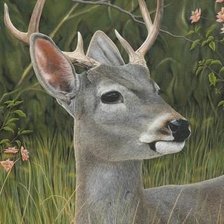 Схема вышивки «№2475445»