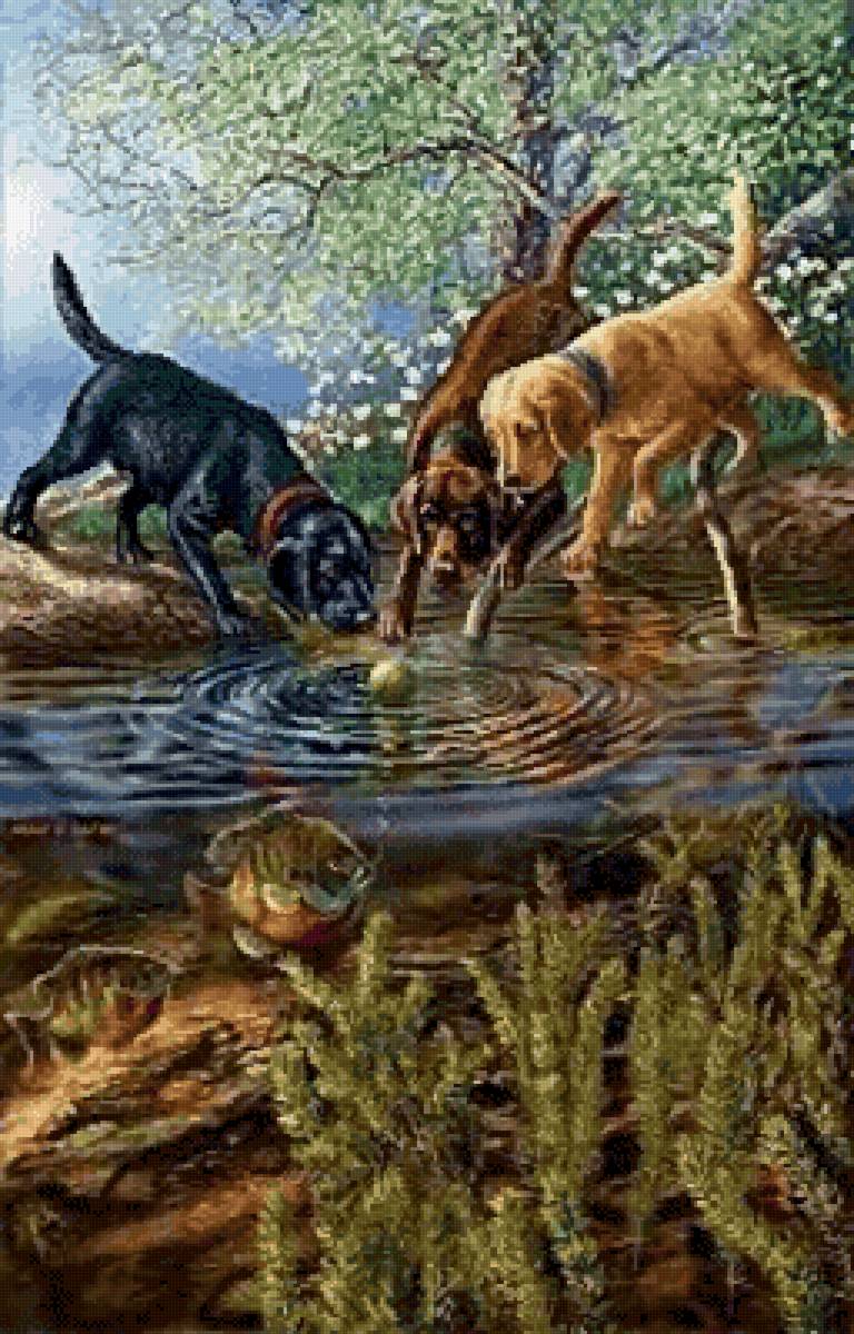 Игра у пруда - животные - предпросмотр