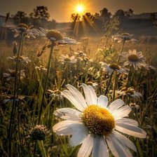 Схема вышивки «Закат»