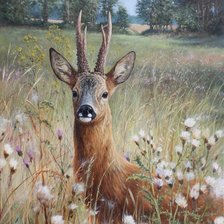 Схема вышивки «№2476220»