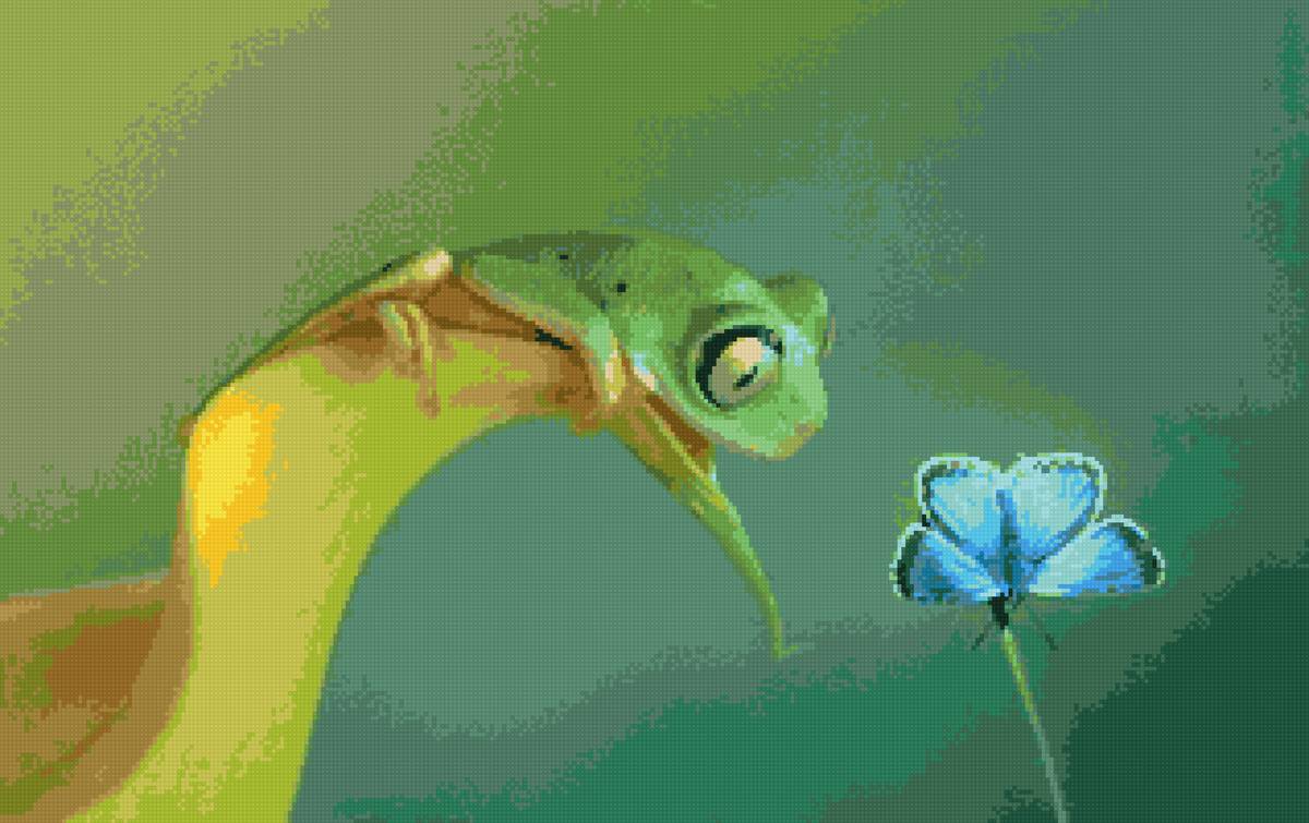 Лягушка и бабочка - природа, животные - предпросмотр