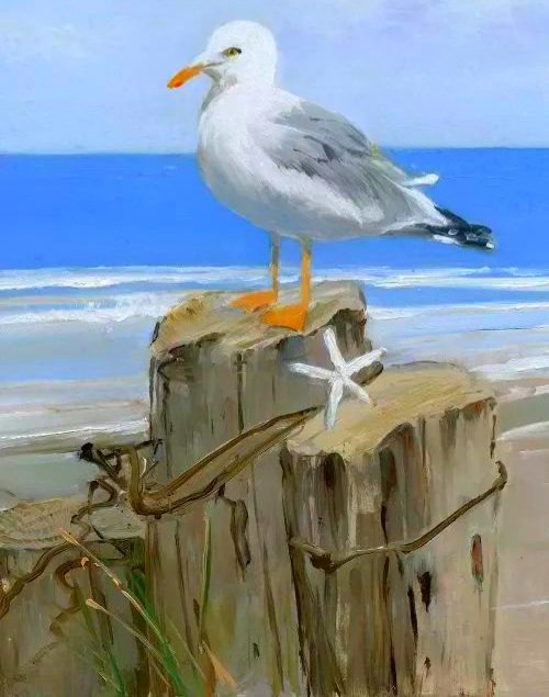 Чайка - чайка - оригинал