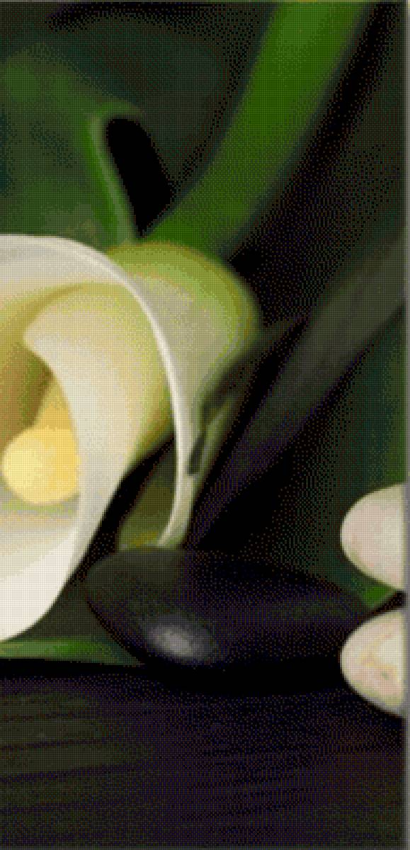 кала 2 - предпросмотр