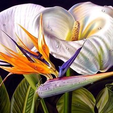 Схема вышивки «стрилицыя»