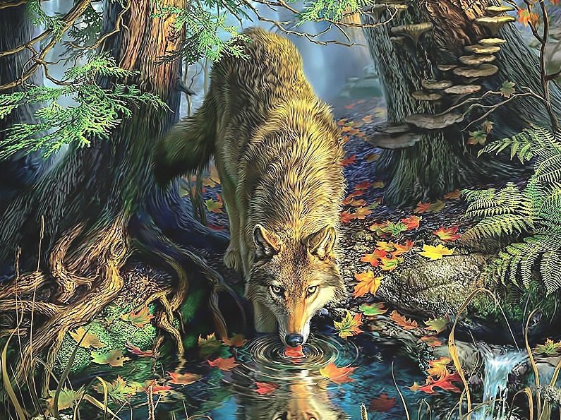 волк - оригинал