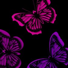 Схема вышивки «Бабочки»