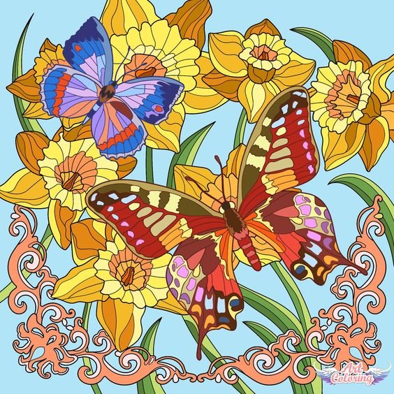 бабочки - рисунок - оригинал