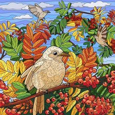 Схема вышивки «птица»