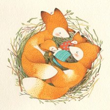 Лисы семья (им. Кирова)