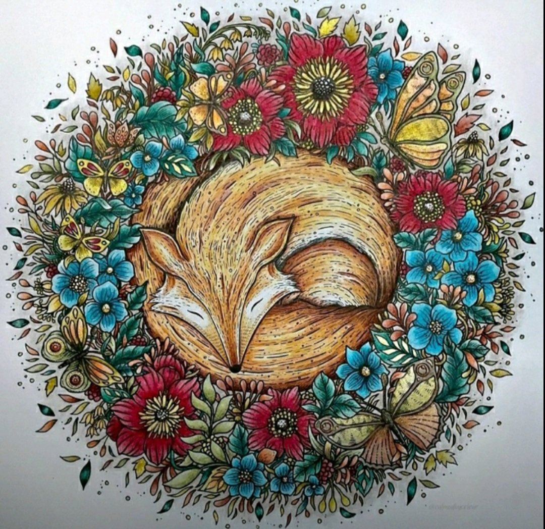 Лиса (Гамма) - оригинал