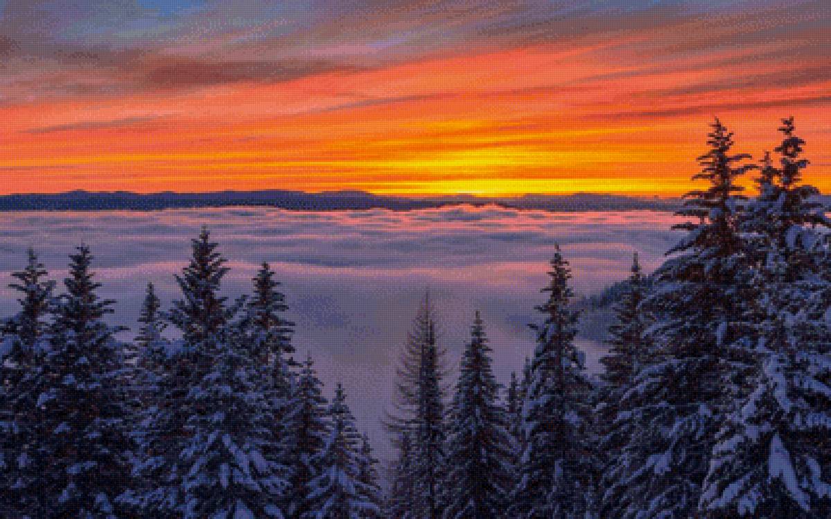 №2477538 - предпросмотр