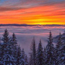 Схема вышивки «№2477538»