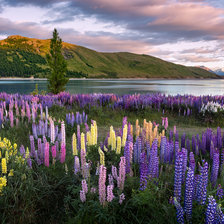 Схема вышивки «№2477555»