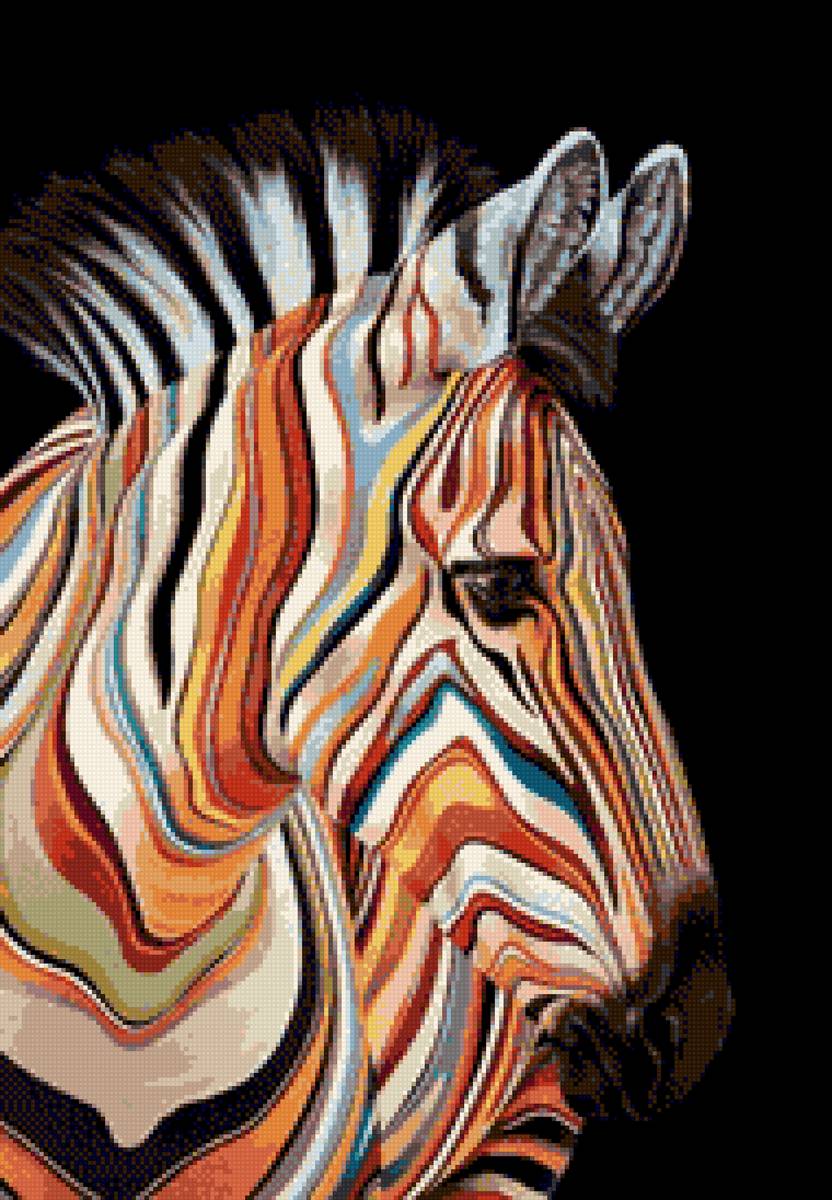 Зебра - зебра, простая, цветная, животные - предпросмотр