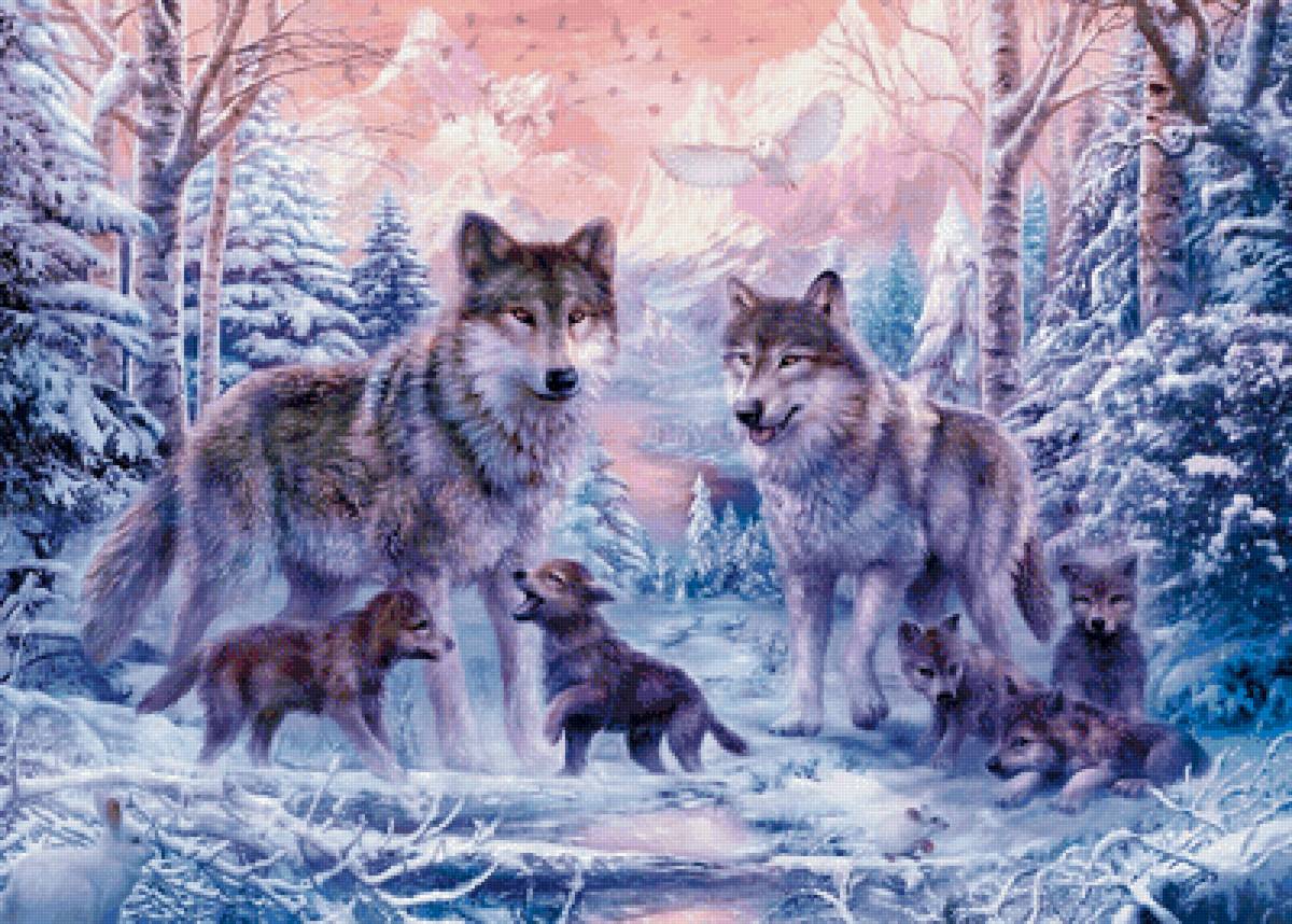 волки - волки, семья - предпросмотр