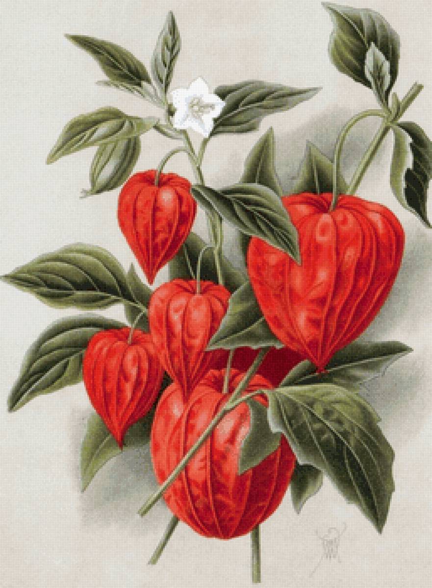 Худ.В.Н.Мюллер - живопись - предпросмотр