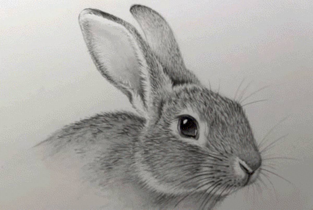 №2478910 - предпросмотр