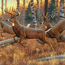 Схема вышивки «№2478933»