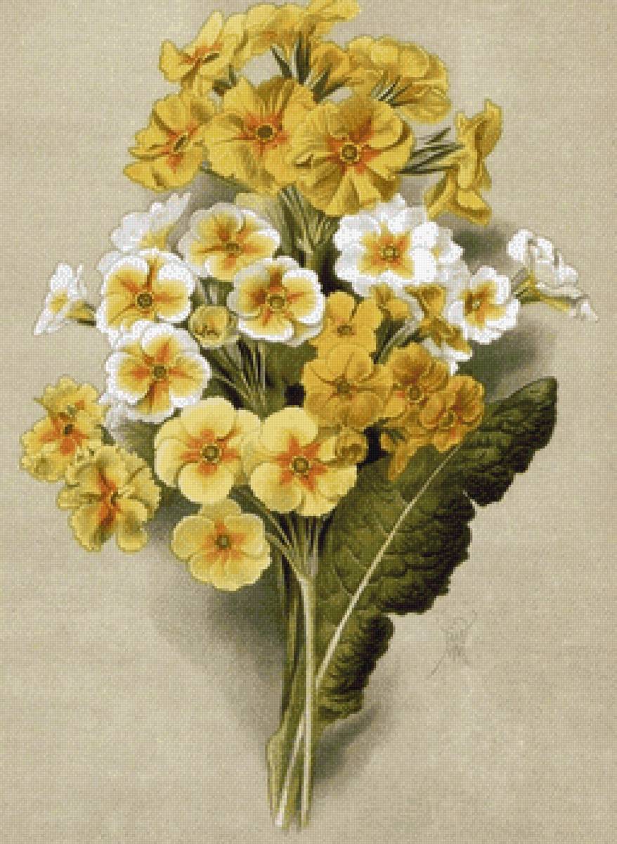 Худ.В.Н.Мюллер - цветы, живопись - предпросмотр