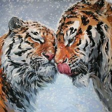 Тигры - тигры. животные. - оригинал