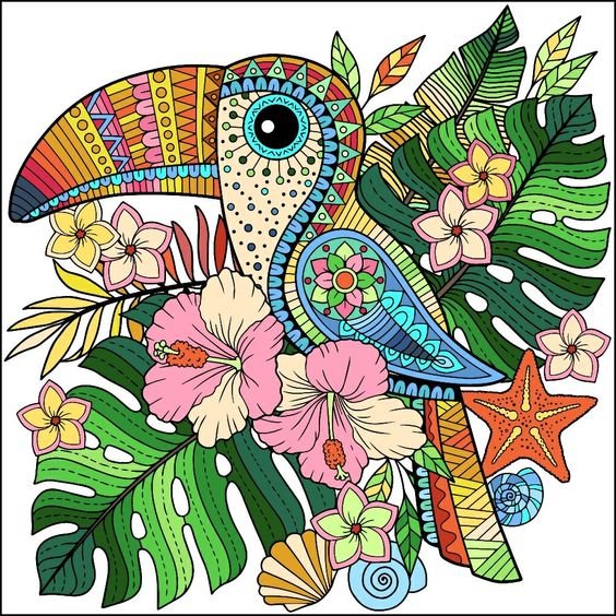 тукан - рисунок - оригинал