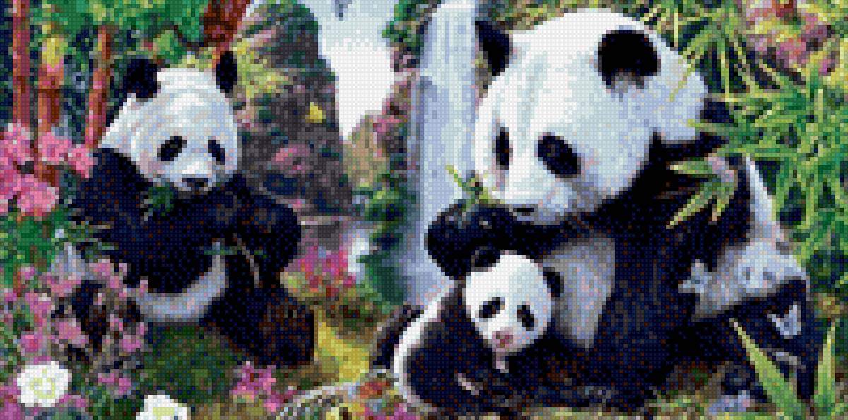 животные - панда - предпросмотр