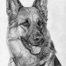 Схема вышивки «№2479959»