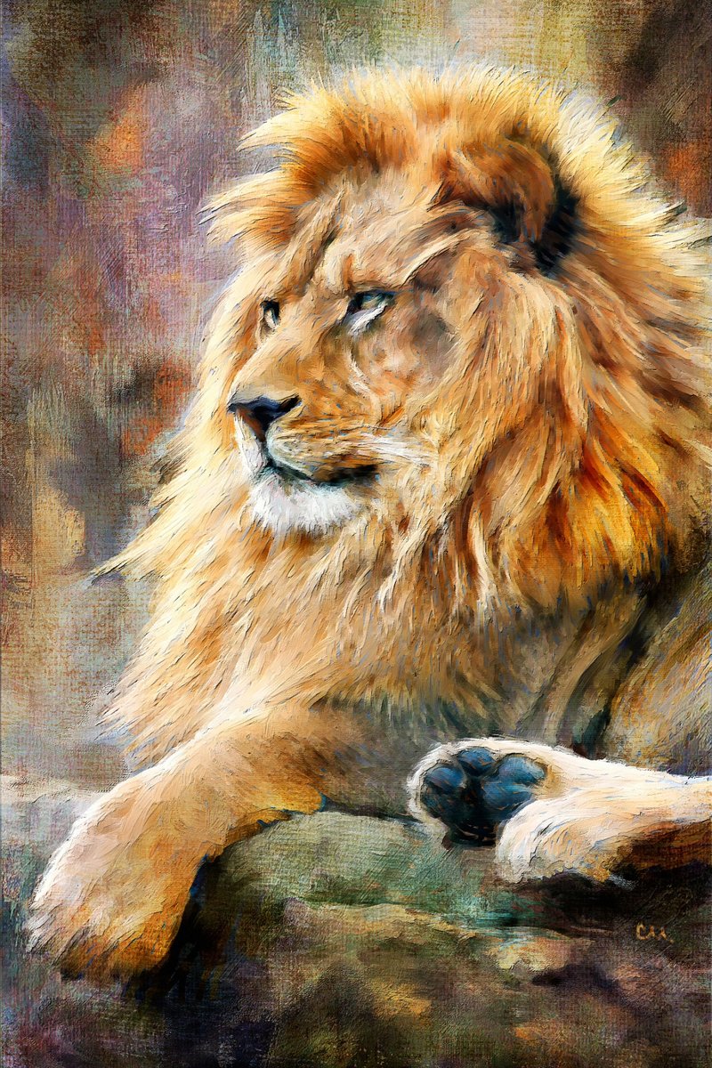 Царь зверей. - лев. животные - оригинал