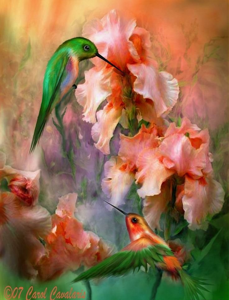 Колибри - колибри. птицы. цветы - оригинал