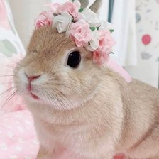 Схема вышивки «Зайка»