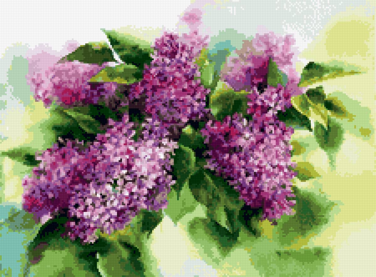 Сирень акварельная Алиса - цветы, сирень, нежно - предпросмотр