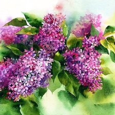 Схема вышивки «Сирень акварельная Алиса»