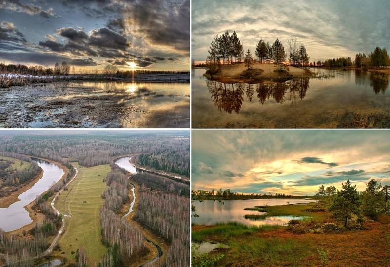 Пейзаж - пейзаж, поле, лето, природа - оригинал