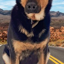 Схема вышивки «Виста»