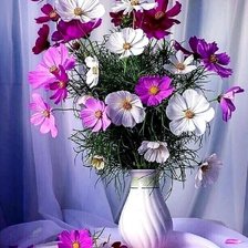 Схема вышивки «Косма»