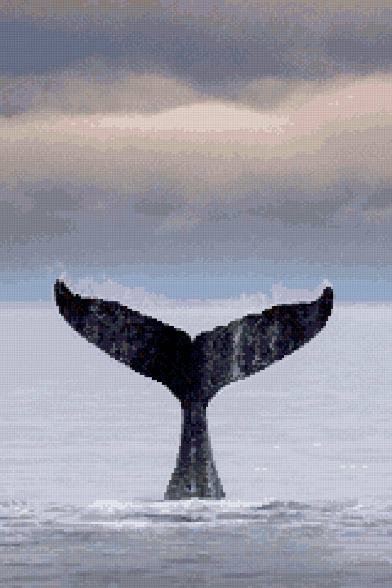 Кит - предпросмотр