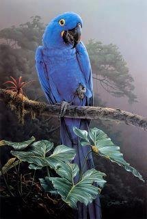 №2481830 - оригинал