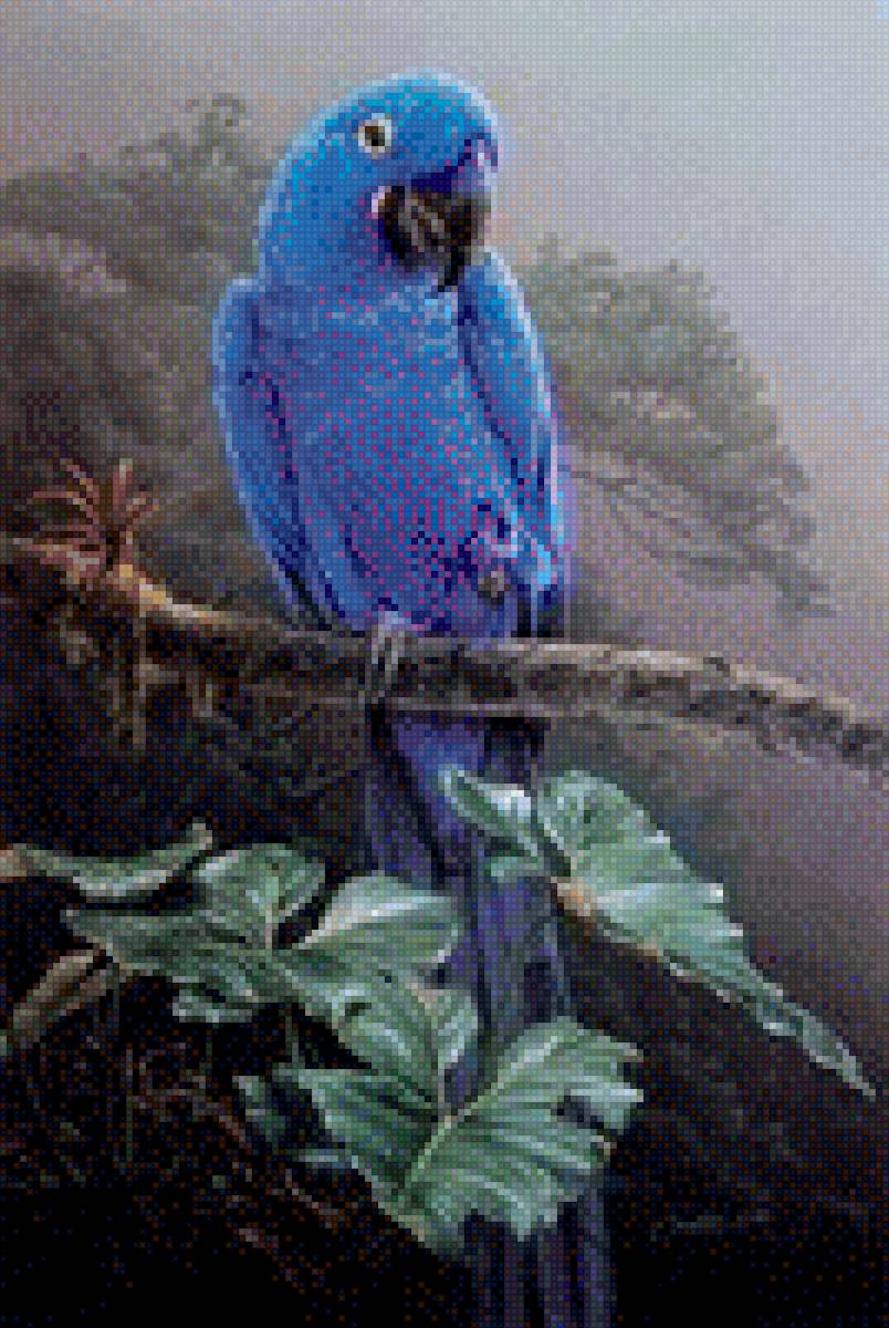 №2481830 - предпросмотр