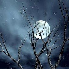 Схема вышивки «Луна»