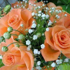 Схема вышивки «Розы»