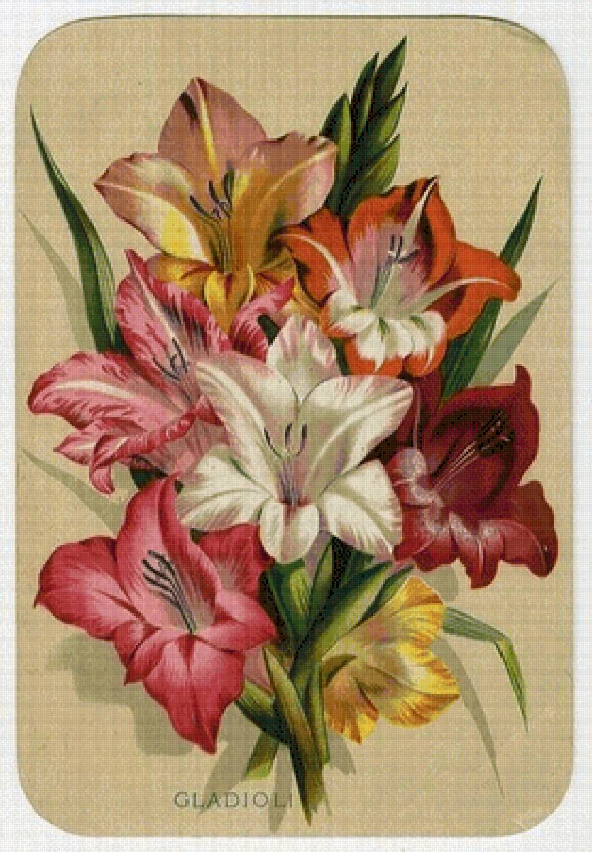 №2481954 - предпросмотр