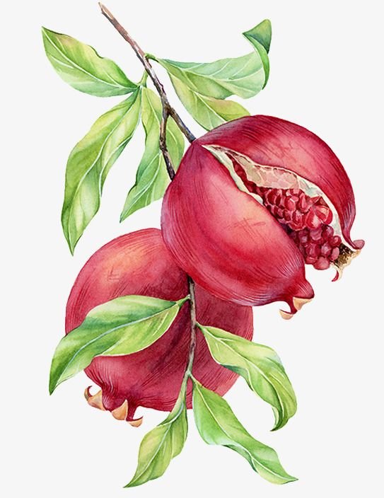 №2481959 - оригинал